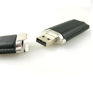 Pen Drive (USB Drive)